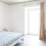Fonte D'olio Conero Relais Apartman Sirolo